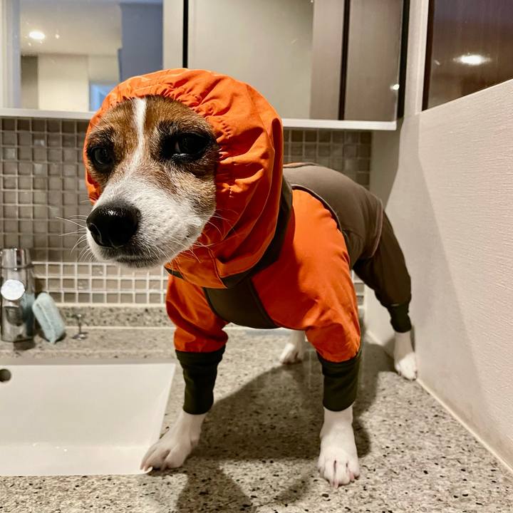 30e99dc5 e833 4e17 a40d 004b7ebbf427 1739934961947