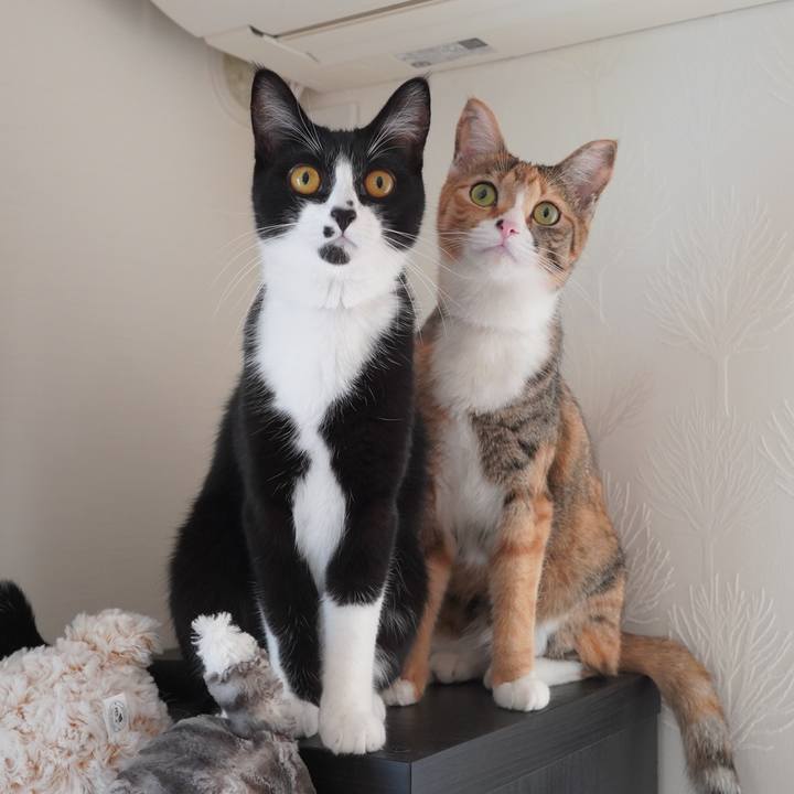 30e9c0dc 161a 47c6 aa62 8dfa439d912d 1602416126199