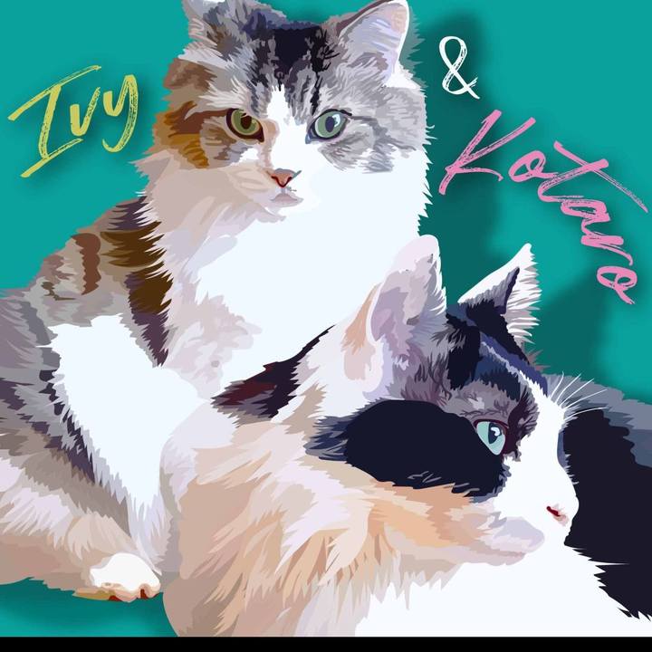 30e9d1fe c1e0 4a7d 967c 816d3a7cb401 1644008440341