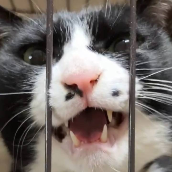 30e9e49f 9f95 4ded 9d22 1596265ad0a9 1742090422103