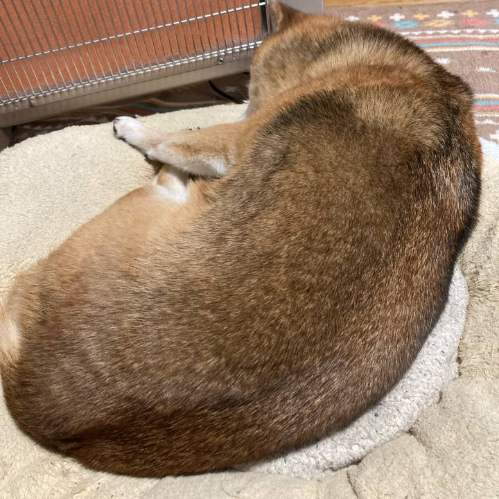 30e9e91e ee4e 46f0 ba00 d0389ccb1ef8 1645340472126