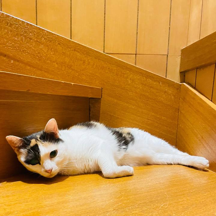 30e9f722 594b 4a61 bffe c0bd5c076e4a 1660183765069