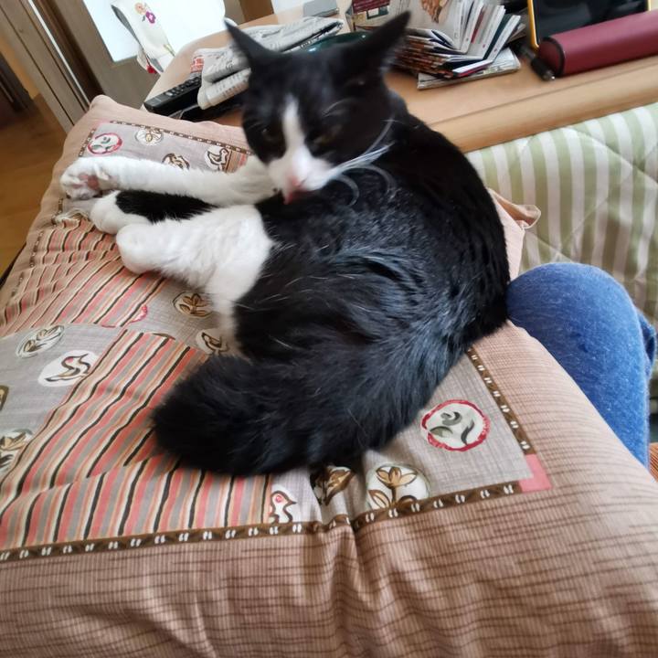 30e9f7d8 60ca 4e1d 957a 17043d54b673 1699242548925