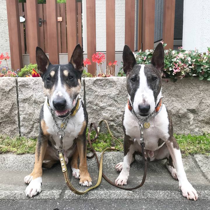 30ea278a 1448 4e6c afa4 84f9c5f3d239 1528198337975