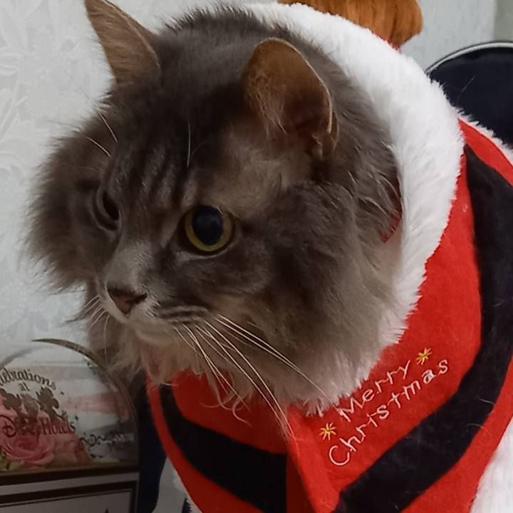 30ea330f ed76 4e25 adea bb2b058c889f 1640389901180