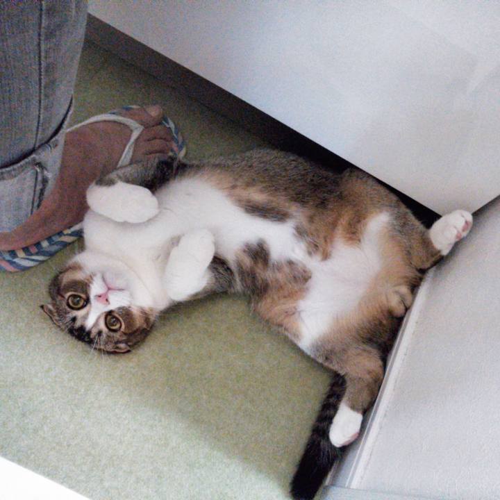 30ea412d eeb1 4697 934b 840e384825e3 1547696973936