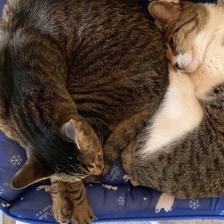 30ea45d4 cf1b 476a 9a8f 2a782aa1e94b 1565656747827