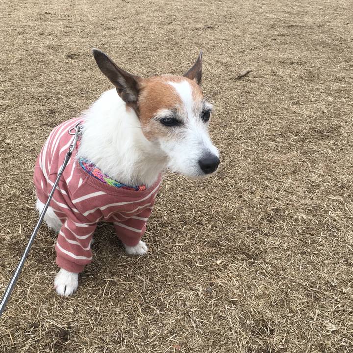 30ea6487 0a0b 4fcc bb12 ff101a8ed2de 1644107066929