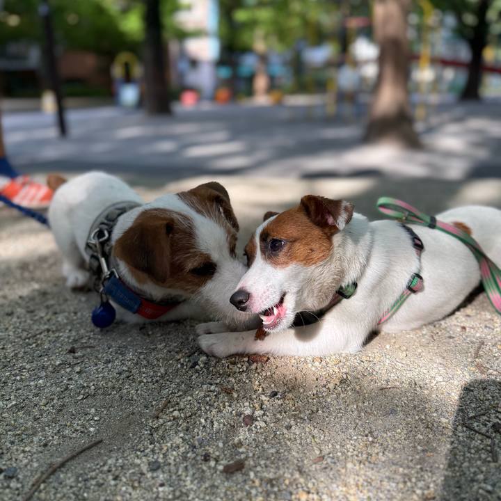 30ea8f2c 4077 4b5a bffb 4573f7bad589 1753798900438