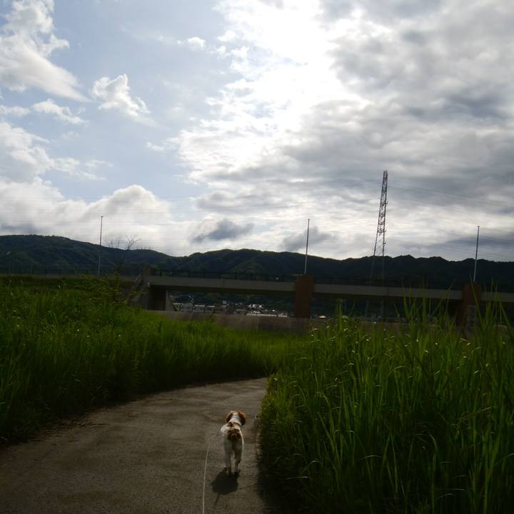 30eab19d 7206 49b0 ac1e 4cd1ce866a4b 1526730585078