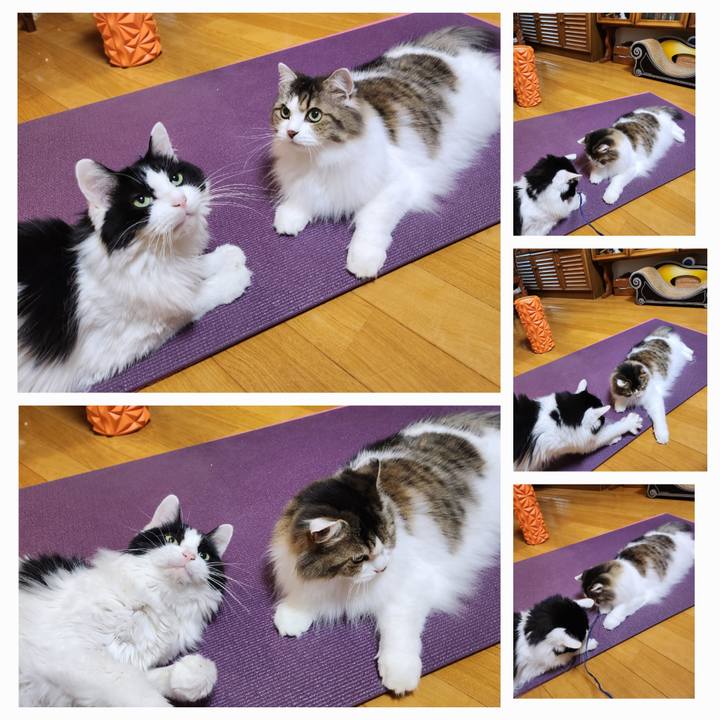 30eb7c10 c35e 4ea6 b229 27930f8378c1 1734391910002