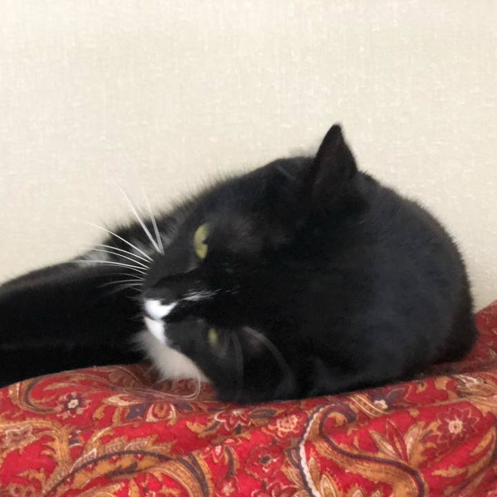 30ebaf5a 9848 4741 8358 6e5043e965fd 1572089330137