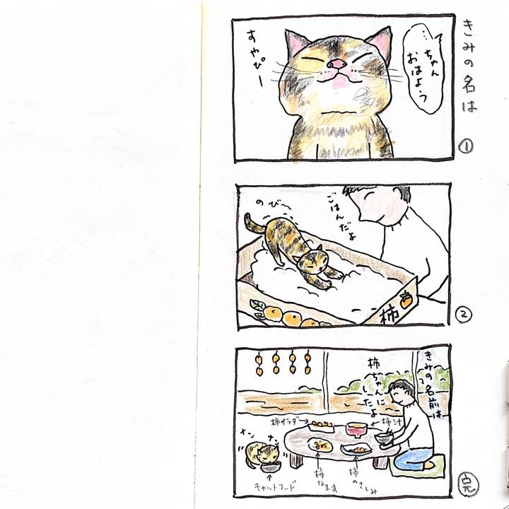 30ebb70f 3b47 4565 892c 5cb270f779d5 1699671946013