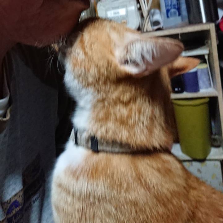 30ebd051 fe47 429e 82b7 bc89d1db221d 1594671739603