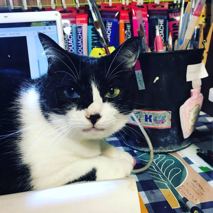 30ebe7e1 8995 4a71 83cd 9c135a08c406 1563194505699