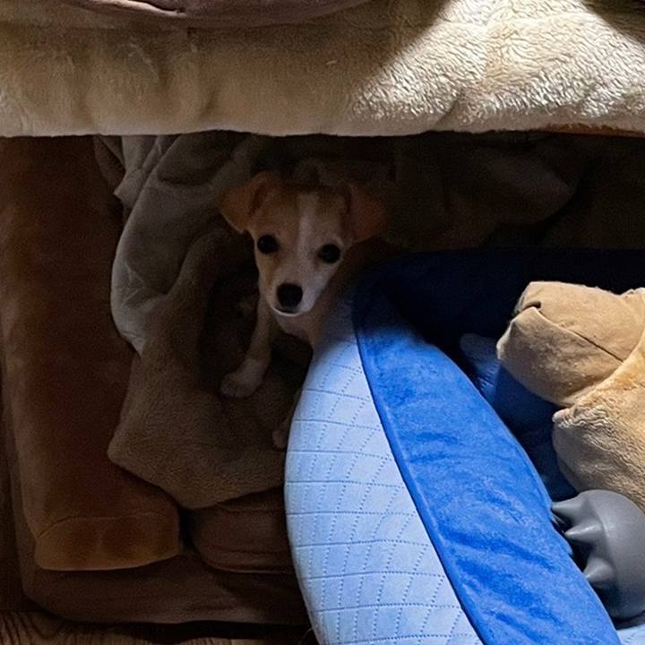 30ec049d 88c9 4fb4 9587 1b4c92bf3cc7 1661655543447