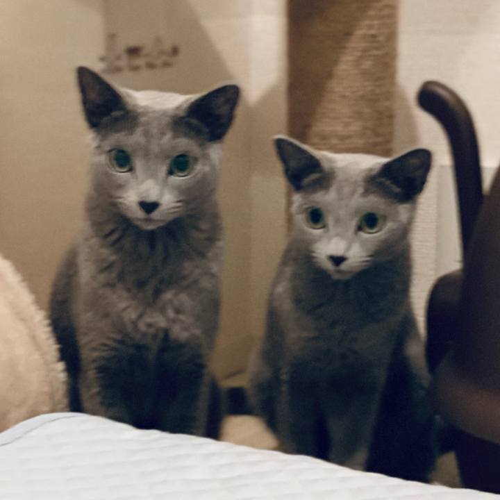 30ec1a4b 2da5 4352 9eed 49bf29b3fe39 1665101685305