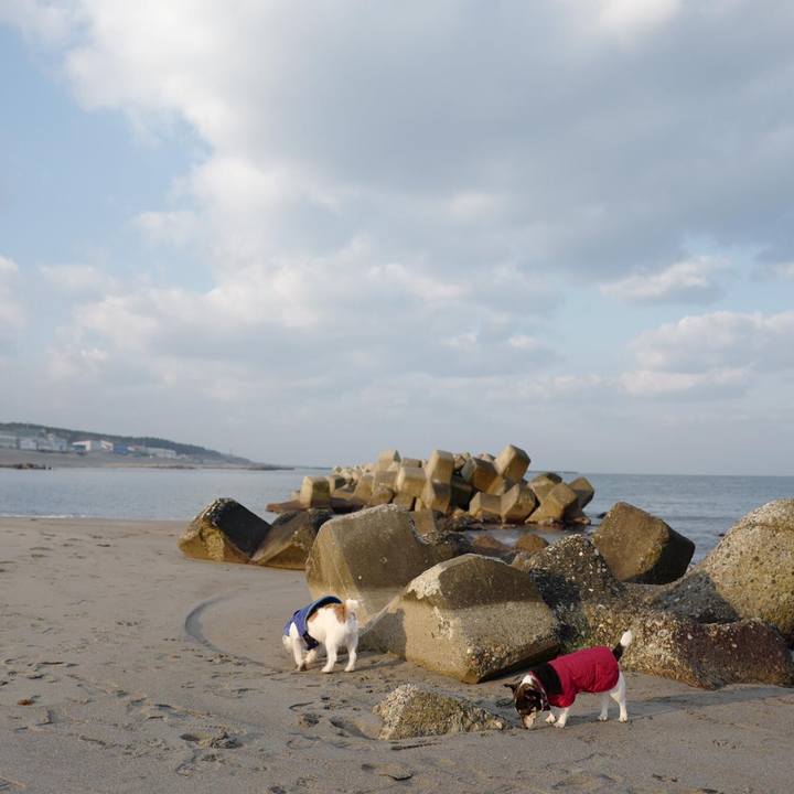 30ec68ce dd50 4896 a27b ad44f7b4091d 1550897526722