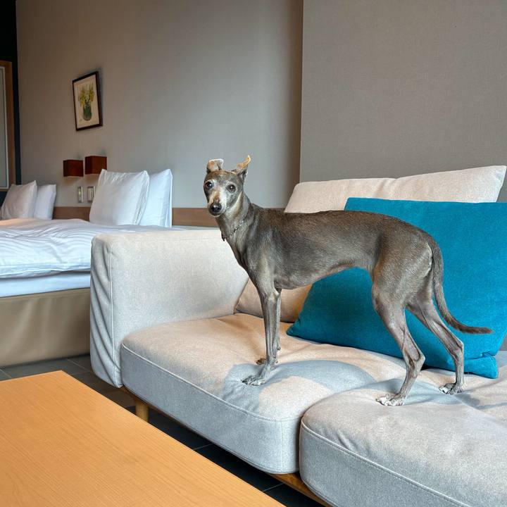 30ec71a9 3978 4e3d bb79 8638c8f1a4c4 1776587851913