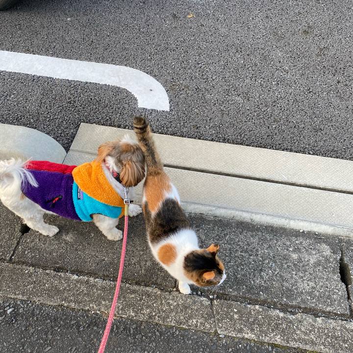 30ec72b3 5f79 46a9 ab8a 93763af1f499 1605572408704