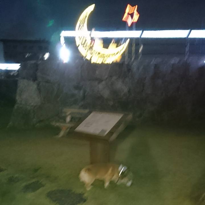 30ec7c57 793a 480b a9bf 205b63768b24 1605086052798