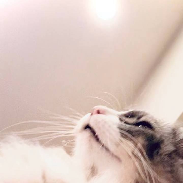 30ec9f68 68ef 4d21 930f 162bf0b59e06 1760023479656