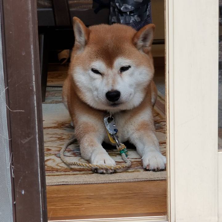 30ecc438 9ed7 4868 90b8 05e9f0b87d75 1568367958130