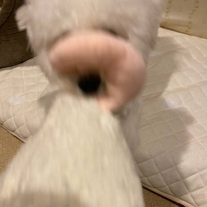 30ed2853 aa31 4ada 8428 47d274944bb9 1761770188536