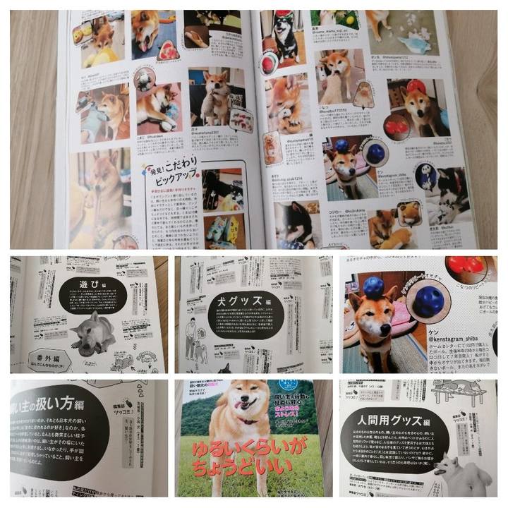 30ed3d3c 6543 4fe9 9825 cdafd3331889 1595994715605