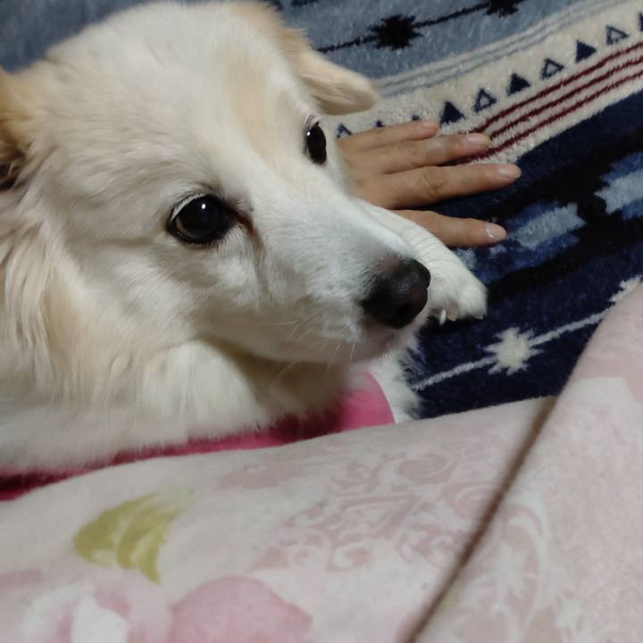 30ed43c2 e301 4777 9a32 0e378224b92e 1641417536829