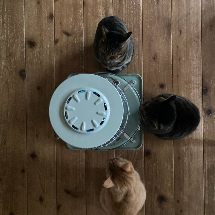 30ed49f8 07e4 43a9 a4cf 11bcc2fb63d8 1741180123169