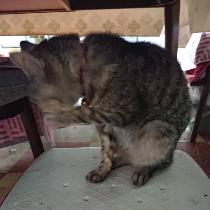 30ed5cdb d348 412a a2cb 3d974896a96e 1589925481594