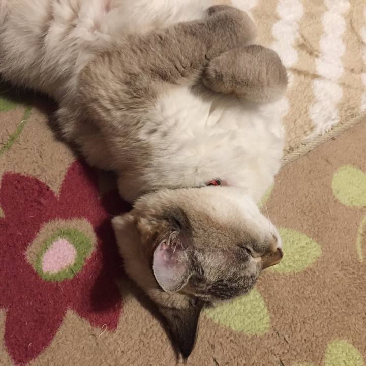 30ed6165 497e 47ce abed 6f50b2f33fd0 1573566463331