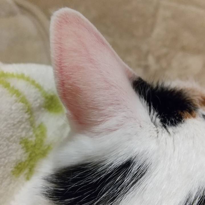 30ed7b41 54b2 42fa 8ff5 aa1187e1a5e5 1647861705660