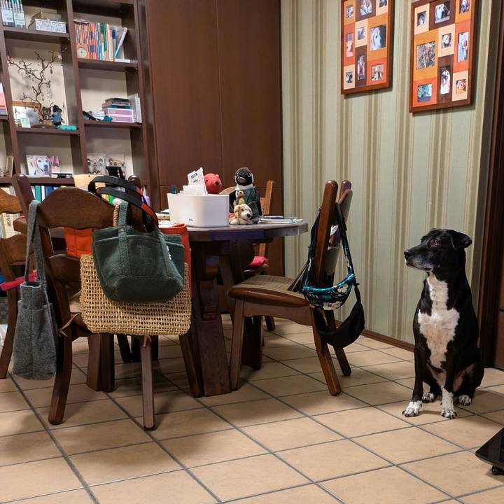 30ed7c4a c04b 4d82 9534 4340464ceca9 1732099772855