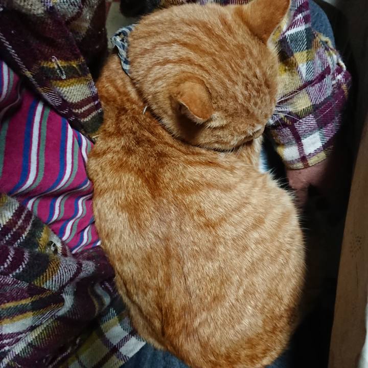 30eda148 5483 41f8 b96e f9d5a516d245 1576180670237