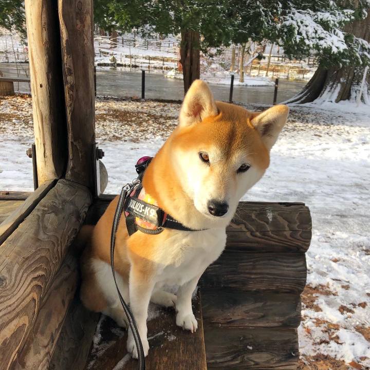 30edd4d9 3bd9 4ccd ab8b 43fd800dfaf9 1574823138648