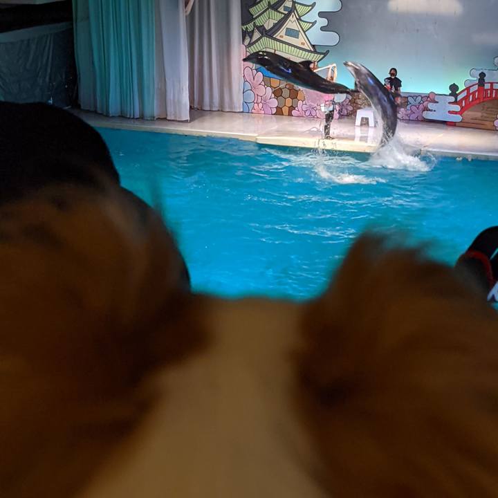 30edea9d 0475 4a42 adc8 6c9eecbd5cb7 1632451929343