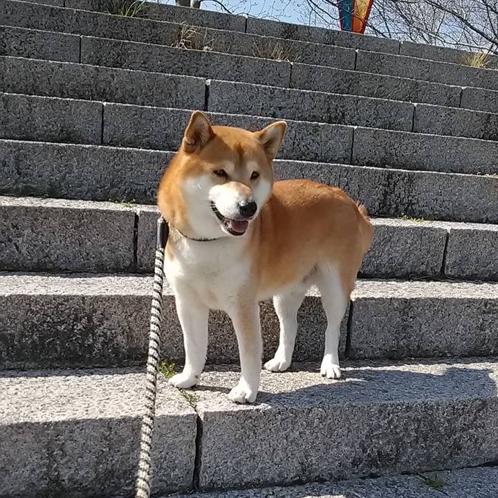 30ee1458 3bc8 4acd ab5e 8a719ac109d3 1584681826095