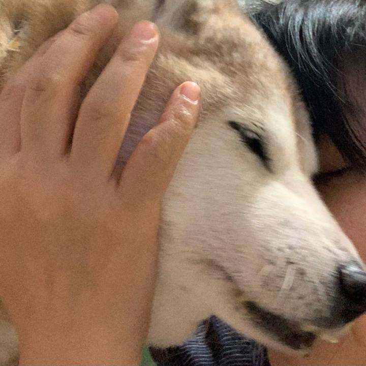 30ee5de7 0f5c 4ee9 b1bc db3215e0ee73 1660292951984