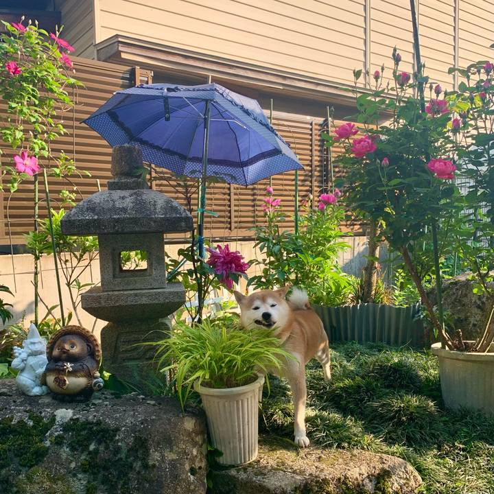 30ee7acf bb1d 40ad 9428 3bd2c1d6abe4 1652868964111