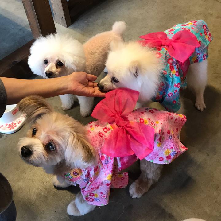 30ee8db6 26c5 4556 b9ee 3b5e6b2fef4a 1597116814529