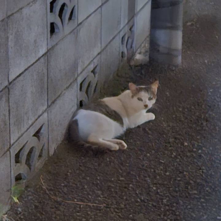 30ee9a4a 6f9c 4134 b395 a9e6db1947a8 1720251999177