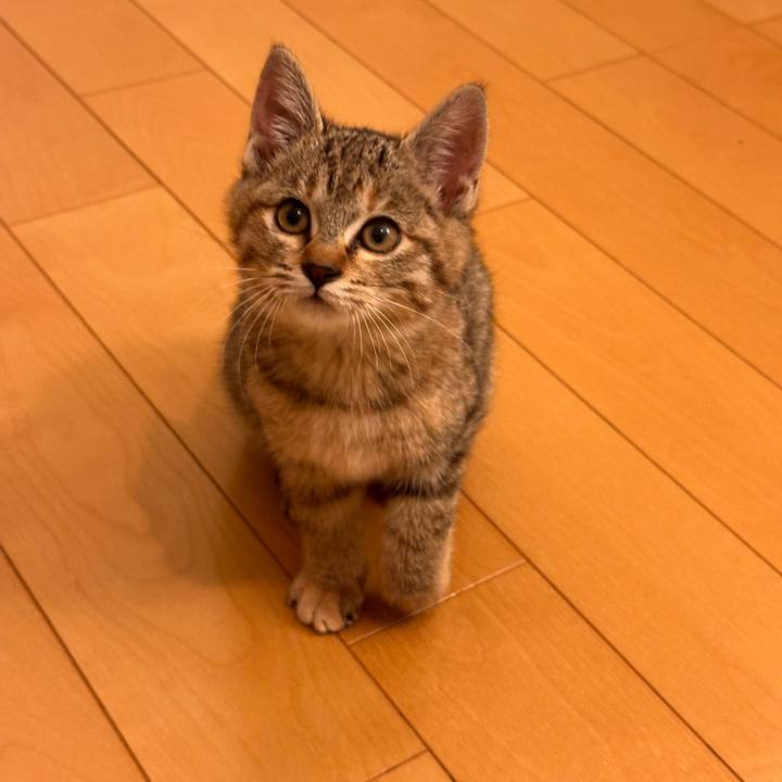 30eea023 0caf 448d b473 82ba155b0b98 1701169661830