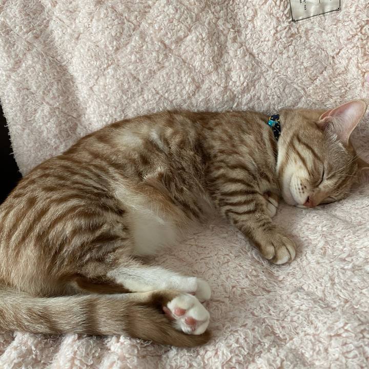 30eed810 157b 420c a016 f216d9e26569 1635652937494