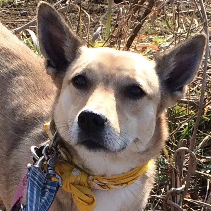 30ef7a5e a452 4a54 b6f9 9226dd3dda21 1517268913810