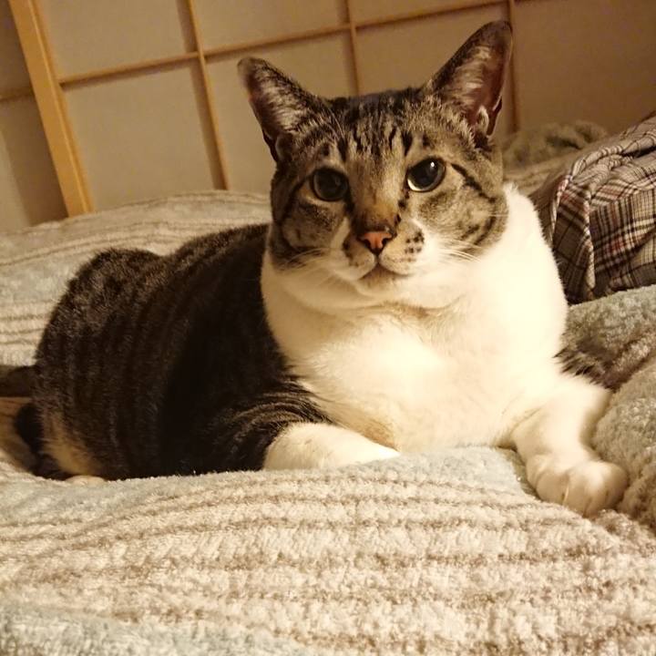 30efa3f1 24d6 4410 b9bf 7909dcd7d276 1548510384490