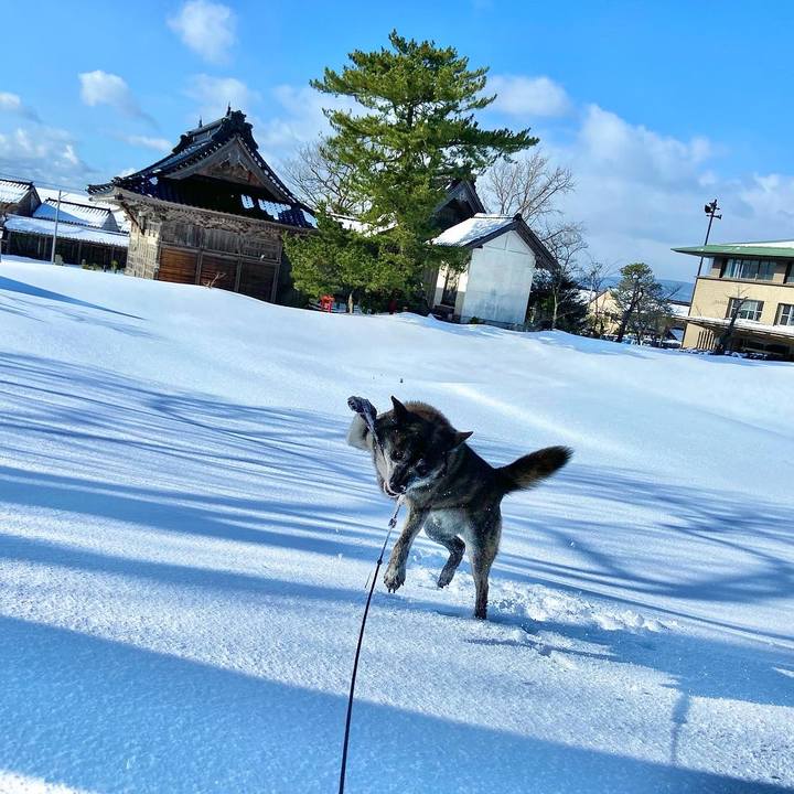 30efb208 cab6 4292 aece d71a571a7cab 1642746665098