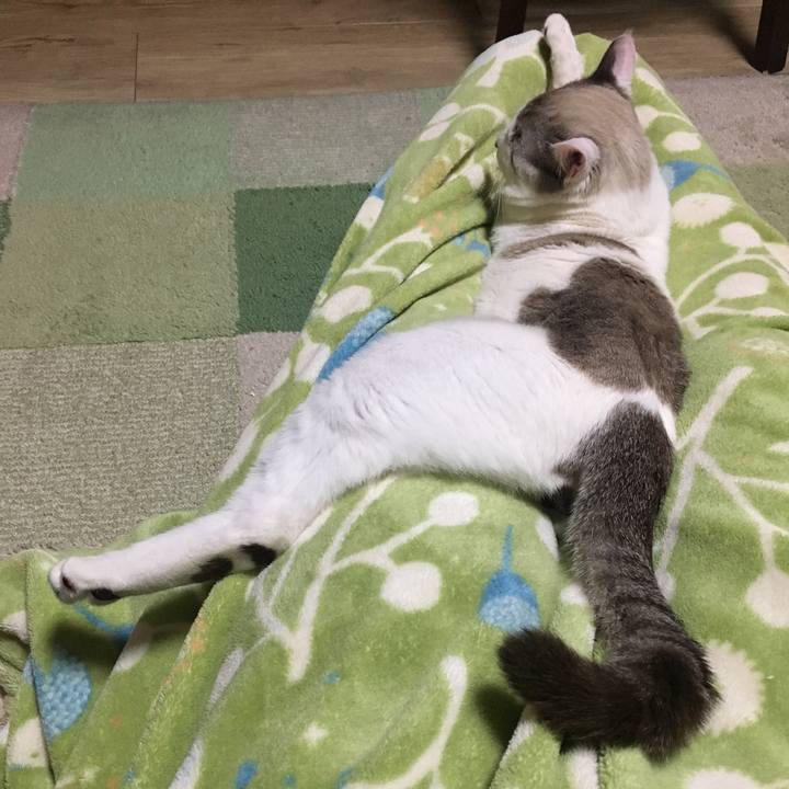 30efd72b 2de0 4dd7 bc11 743dda5d4c0e 1549966230087