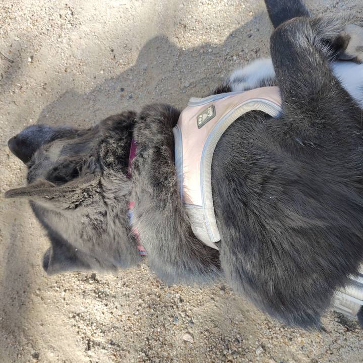 30efdf1b 3cef 43b5 8906 6f621b51b981 1763945598643